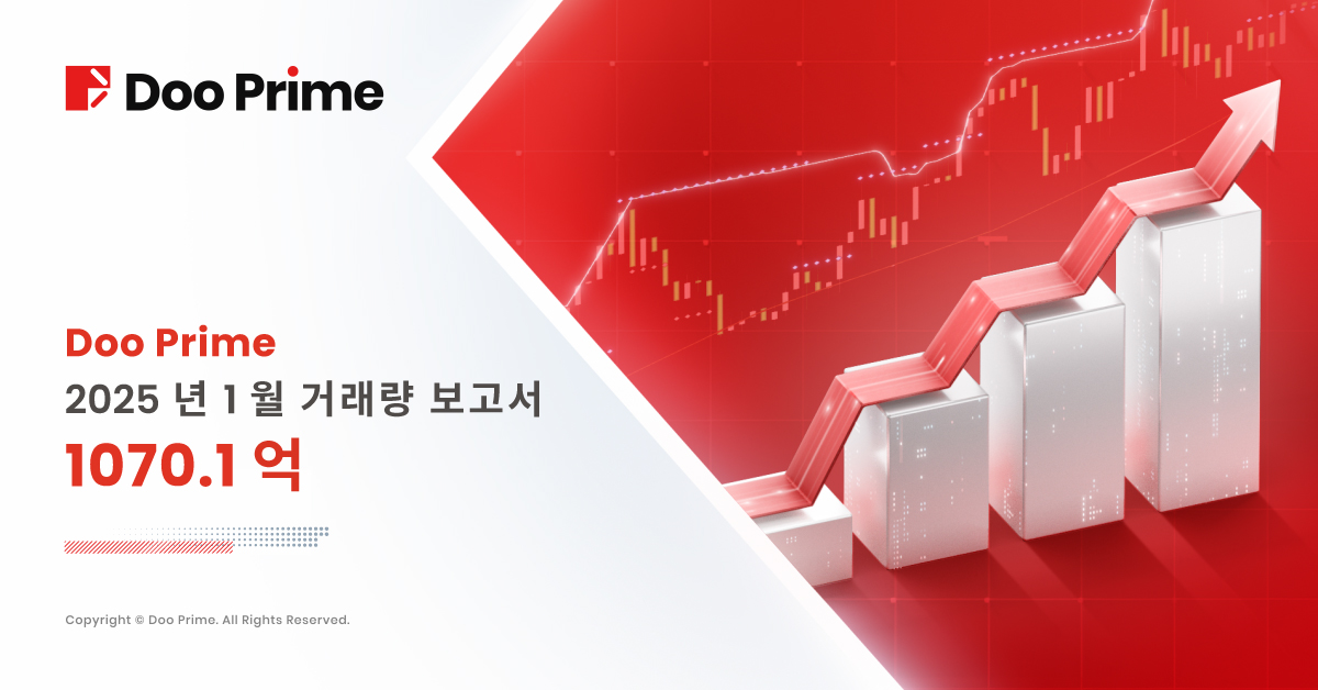 Doo Prime 2025년 1월 거래량 보고서