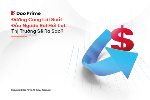 HQ Đường Cong Lợi Suất Đảo Ngược BC