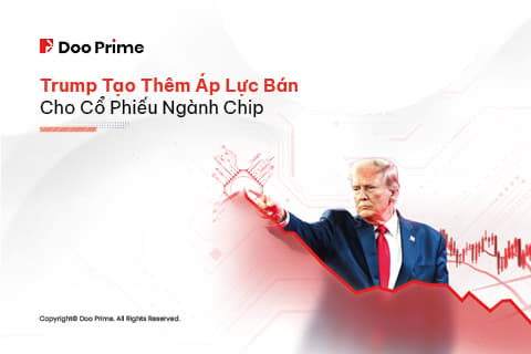 HQ - Trump Chip Stock Cover